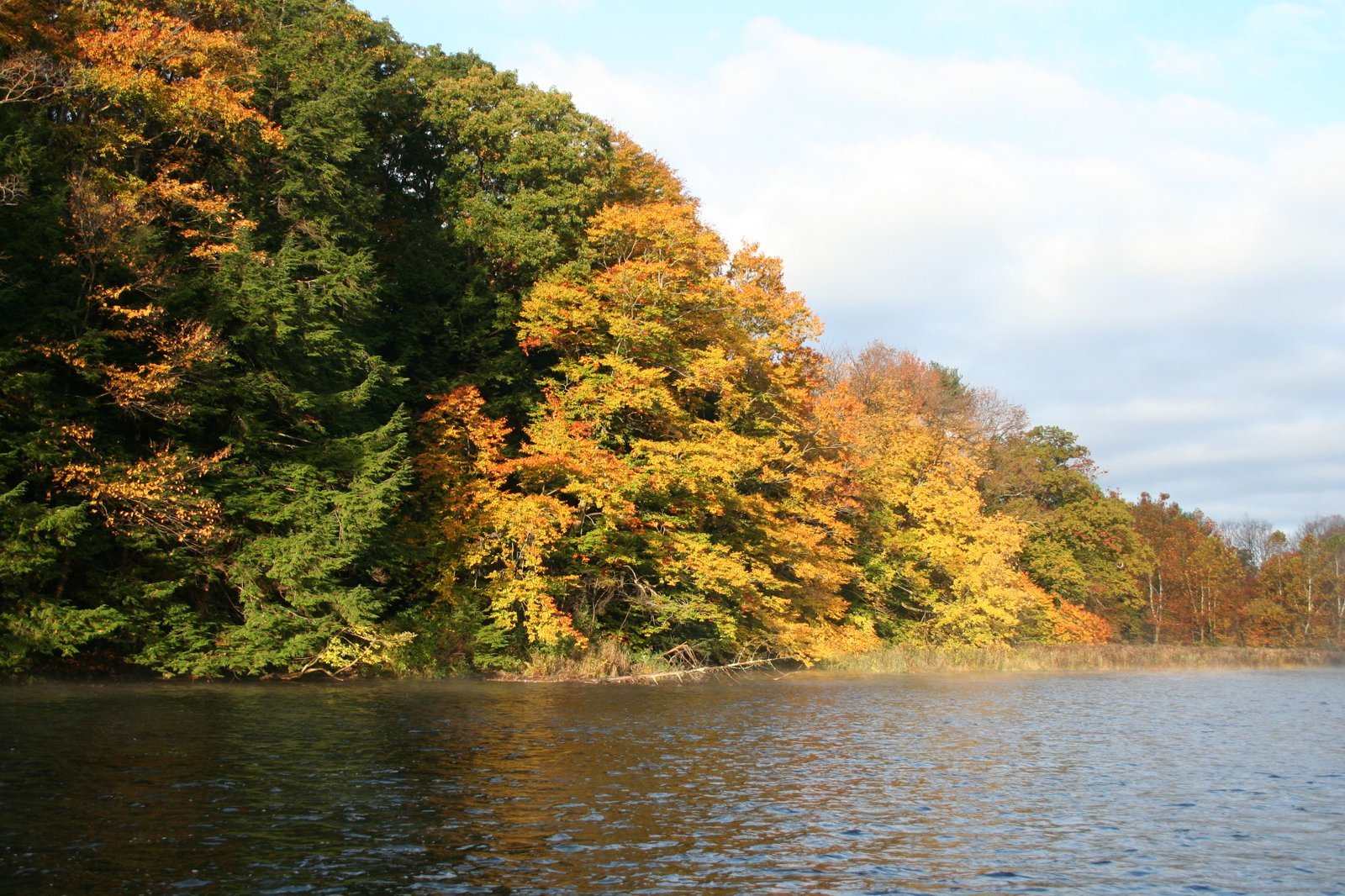 The Salmon River